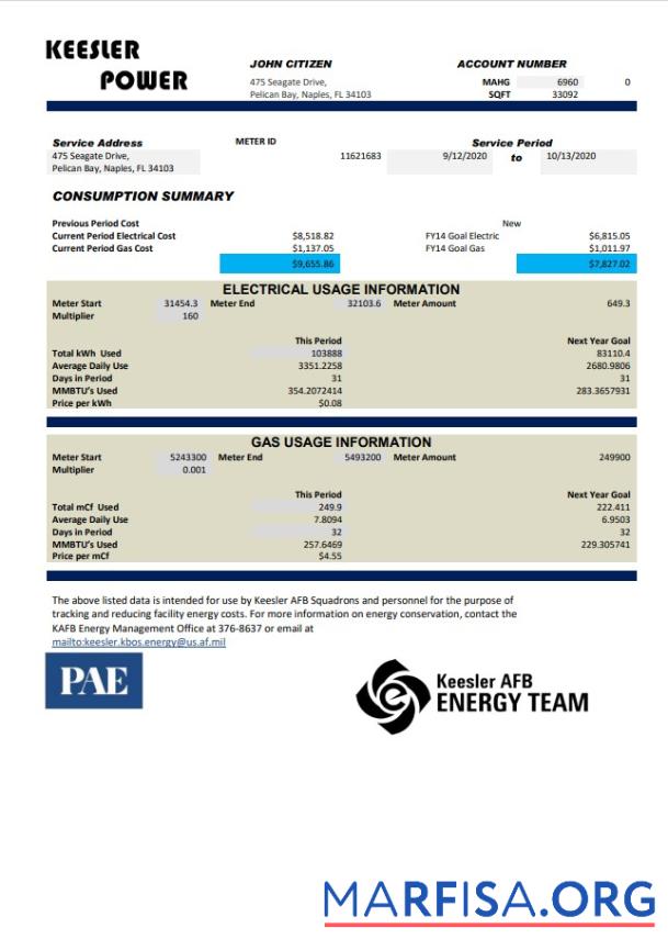 Downloadable USA Mississippi Keesler AFB Energy utility bill template in Word and PDF format